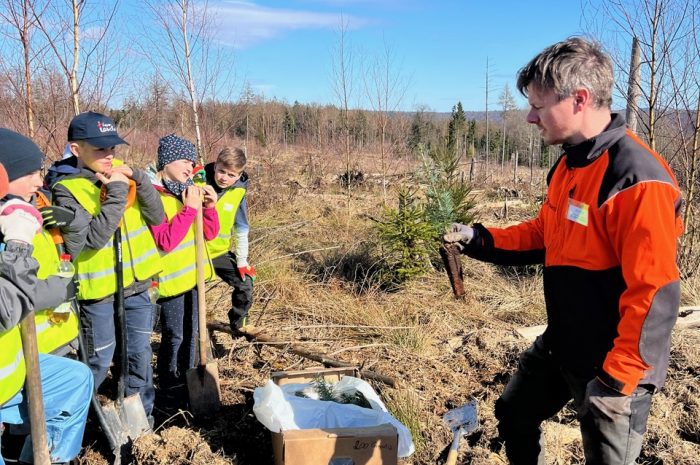 Baumpflanzaktion Reinhardswald