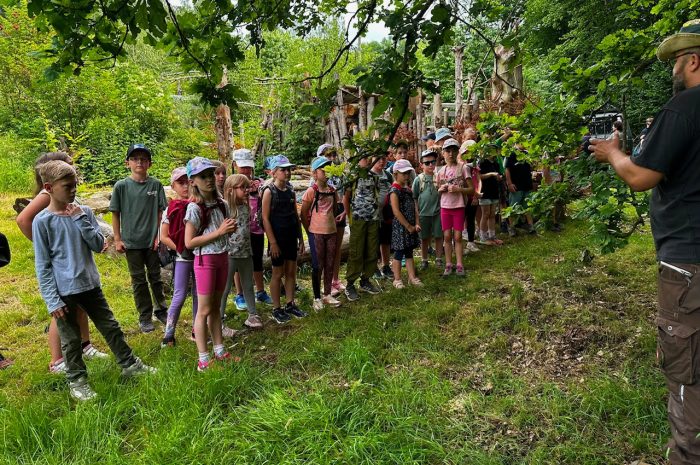 Aktionstag der Kinderfeuerwehren der Gemeinde Helsa im Schröderwald